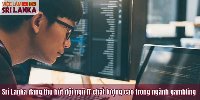 Sri Lanka đang thu hút đội ngũ IT chất lượng cao trong ngành gambling