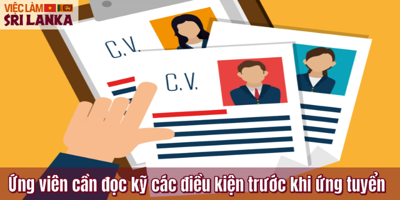 Ứng viên cần đọc kỹ các điều kiện trước khi ứng tuyển