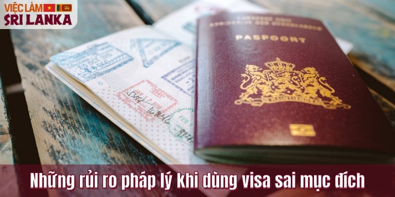 Những rủi ro pháp lý khi dùng visa sai mục đích