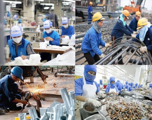 Thông tin chung về thị trường việc làm