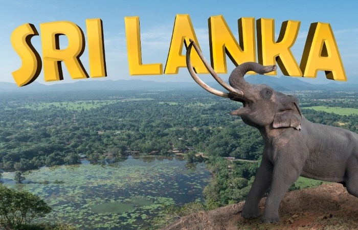 Định cư tại Sri Lanka khi làm ngành Gambling: Điều cần chuẩn bị