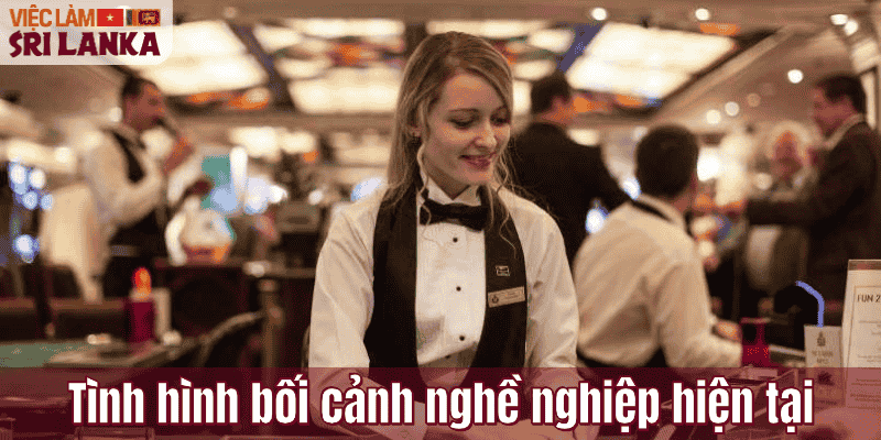 Tình hình bối cảnh nghề nghiệp hiện tại