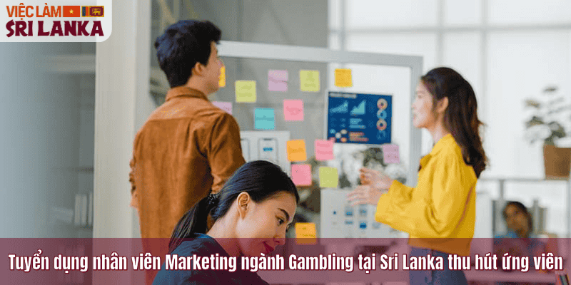 Tuyển dụng nhân viên Marketing ngành Gambling tại Sri Lanka thu hút ứng viên