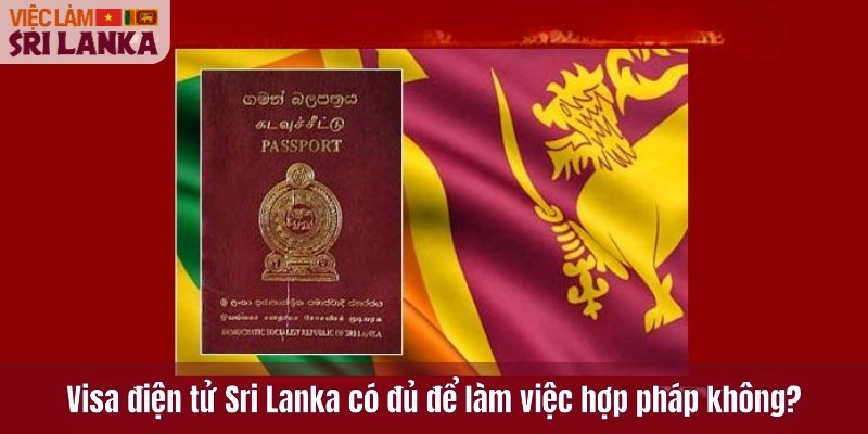 Visa điện tử Sri Lanka có đủ để làm việc hợp pháp không?