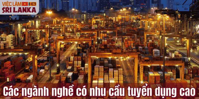 Các ngành nghề có nhu cầu tuyển dụng cao