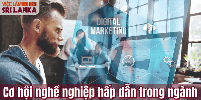 Cơ hội nghề nghiệp hấp dẫn trong ngành