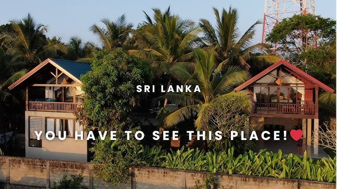 Thời tiết Sri Lanka so với Hà Nội và Sài Gòn: Cẩm nang thích nghi cho người đi XKLD 2026