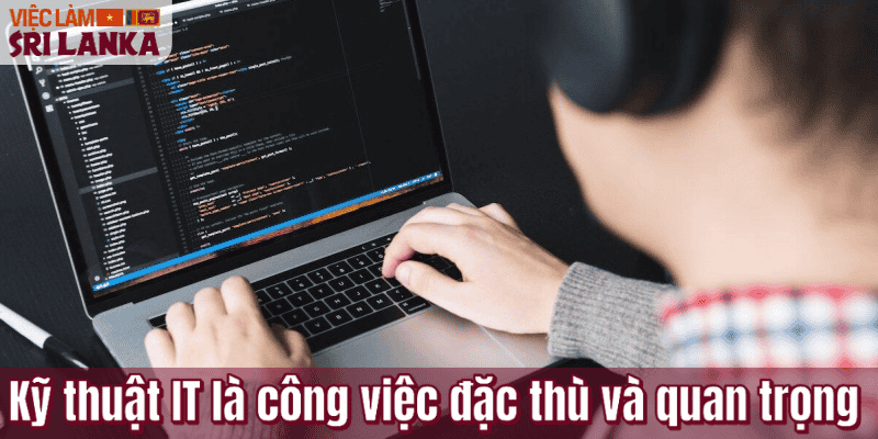 Kỹ thuật IT là công việc đặc thù và quan trọng