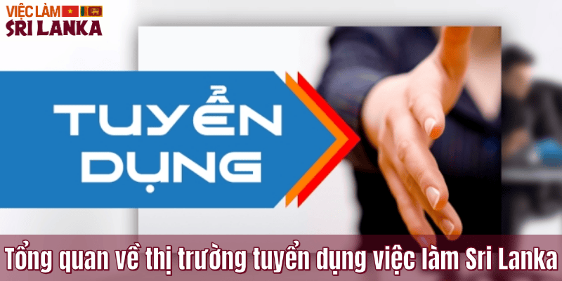 Tổng quan về thị trường tuyển dụng việc làm Sri Lanka