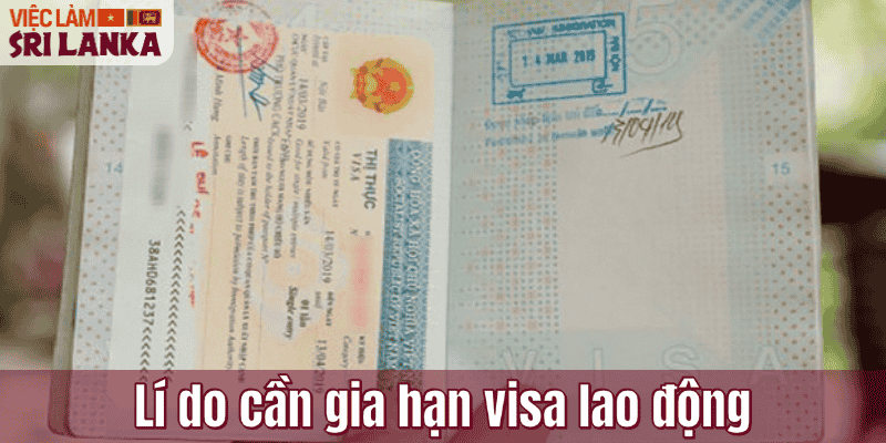 Lí do cần gia hạn visa lao động