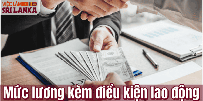 Mức lương kèm điều kiện lao động
