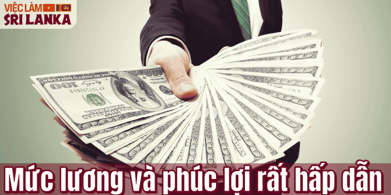 Mức lương và phúc lợi rất hấp dẫn