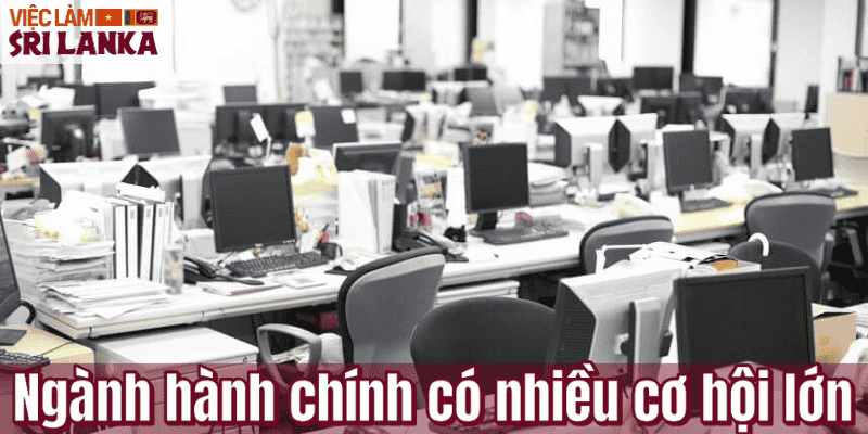 Ngành hành chính có nhiều cơ hội lớn
