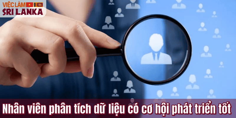 Nhân viên phân tích dữ liệu có cơ hội phát triển tốt