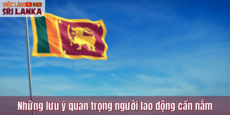 Những lưu ý quan trọng người lao động cần nắm