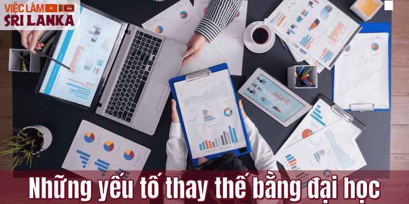 Những yếu tố thay thế bằng đại học
