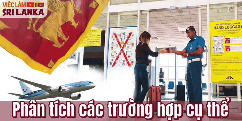 Phân tích các trường hợp cụ thể