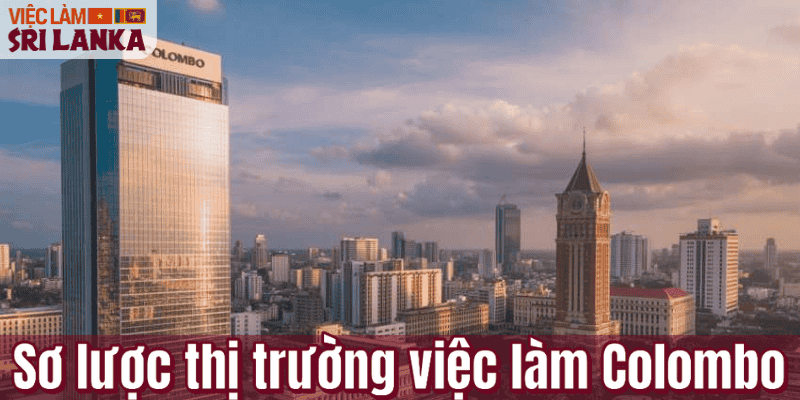 Sơ lược thị trường việc làm Colombo