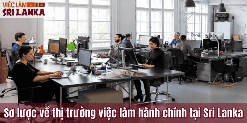 Sơ lược về thị trường việc làm hành chính tại Sri Lanka