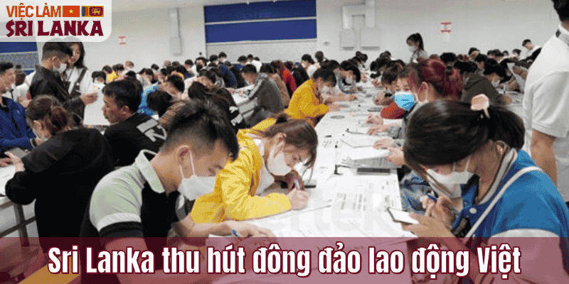 Sri Lanka thu hút đông đảo lao động Việt