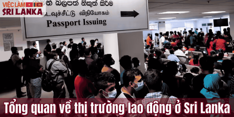 Tổng quan về thị trường lao động ở Sri Lanka