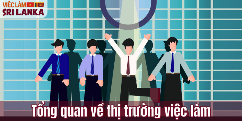 Tổng quan về thị trường việc làm