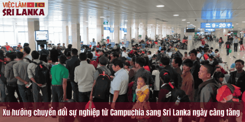 Xu hướng chuyển đổi sự nghiệp từ Campuchia sang Sri Lanka ngày càng tăng